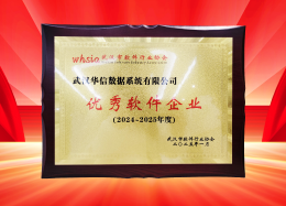 喜讯丨DB真人旗舰 DB数据获评2024~2025年度武汉市软件行业&ldquo;优秀企业&rdquo;、&ldquo;优秀工作者&rdquo;荣誉称号！